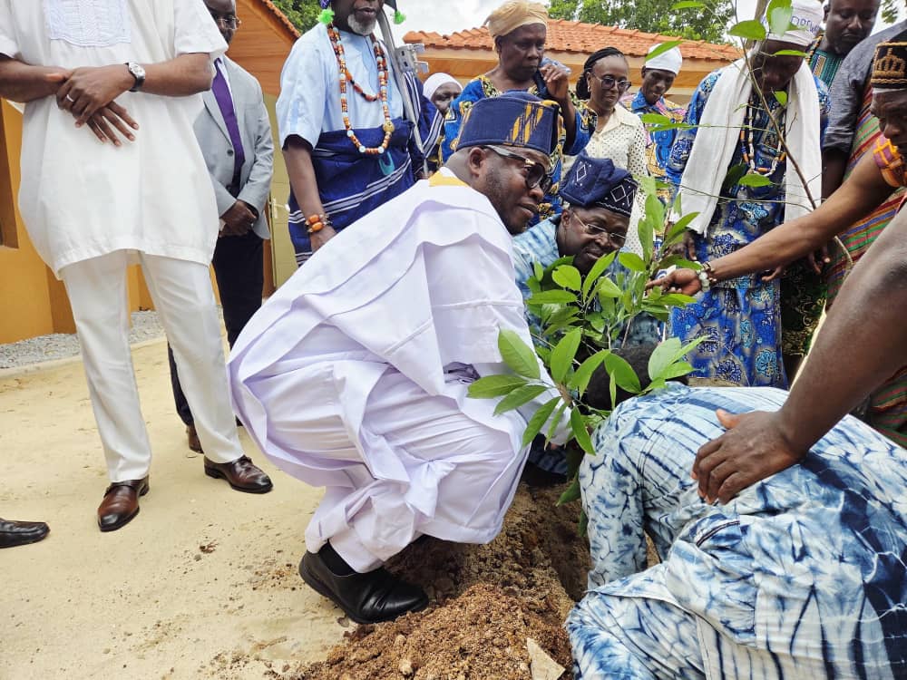 Ouidah–Abomey : Un pommier sauvage planté pour faire grandir la coopération